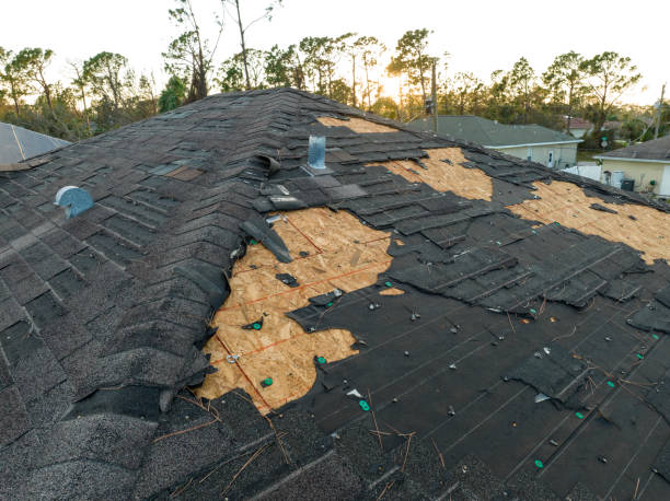 Best Gutter Installation and Repair  in Radisson, NY